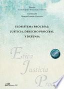 Ecosistema procesal: justicia, derecho procesal y defensa