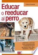 Educar o reeducar al perro