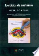 Ejercicios de anatomia / Anatomy Exercises