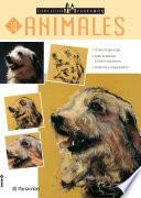 Ejercicios Parramón. Animales