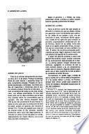 El ABC y XYZ de la apicultura