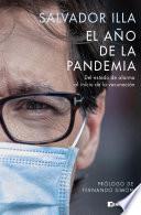 El año de la pandemia