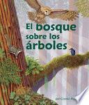 El bosque sobre los árboles