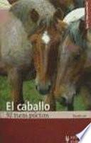 El caballo. 92 trucos prácticos