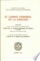 El camino cerebral de la emoción