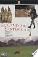 El camino de Santiago a pie