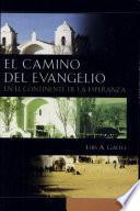 El camino del Evangelio en el continente de la esperanza