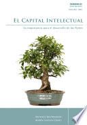 El capital intelectual