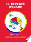 El cerebro humano. Libro de trabajo