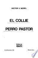El collie, perro pastor