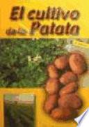 El cultivo de la patata