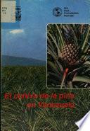 El cultivo de la Piña en Venezuela