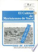 El cultivo de meristemas de yuca
