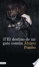 El destino de un gato común