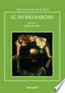 El divino Narciso