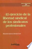 El ejercicio de la libertad sindical de los sindicatos profesionales