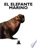 El elefante marino