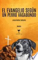 El evangelio según un perro vagabundo