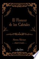 El florecer de los cafetales