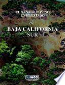El ganado bovino en el estado de Baja California Sur