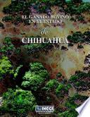 El ganado bovino en el estado de Chihuahua