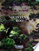 El ganado bovino en el estado de Quintana Roo