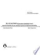 El guácimo (Guazuma ulmifolia Lam.)