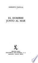 El hombre junto al mar