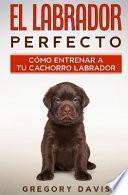 El Labrador Perfecto