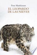 El leopardo de las nieves