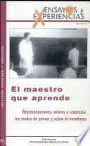 El Maestro que Aprende