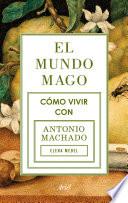 El mundo mago