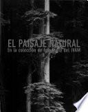 El paisaje natural en la colección de fotografia del IVAM