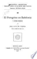 El peregrino en Babilonia y otros poemas de Don Luis de Tejeda