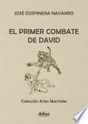 El primer combate de David