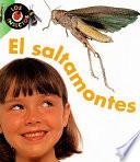 El saltamontes