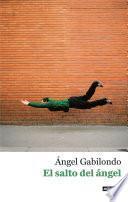 El salto del ángel. Palabras para comprendernos