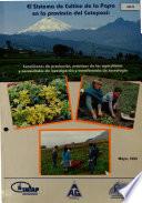 El Sistema de Cultive la Papa en la Provincia de Cotopaxi