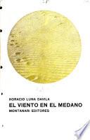 El viento en el médano