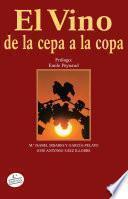 El vino, de la cepa a la copa