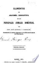 Elementos de anatomía descriptiva de los principales animales domésticos