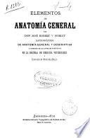 Elementos de anatomía general
