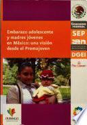 Embarazo adolescente y madres jóvenes en México