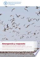 Emergencia y respuesta a la influenza aviar de alta patogenicidad H5N1 en América Central, América del Sur y el Caribe