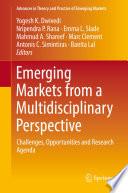 Emerging Markets from a Multidisciplinary Perspective