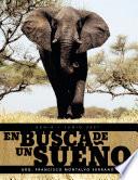 En Busca de Un Sueño