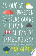 En qué se parecen las gotas de lluvia al pan de hamburguesa