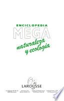 Enciclopedia Mega/ Encyclopedia Mega