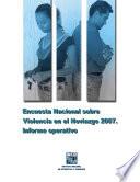 Encuesta Nacional sobre Violencia en el Noviazgo 2007. Informe operativo