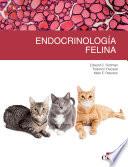 Endocrinología felina